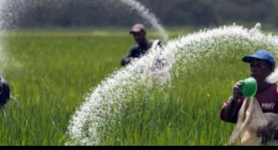 තවත් යුරියා නැවක් දිවයිනට...